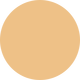 NC42 Studio Fix Powder Plus Foundation 